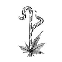 A drawing of a marijuana leaf and a candy cane vector