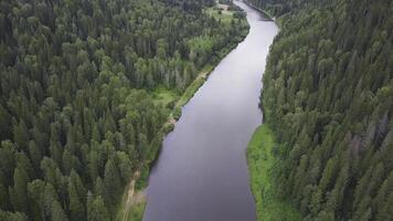 river flowing in the forest. Aerial view. Clip. Aerial view the forest lake during summer day. White clouds are over horizon. Aerial view of a green landscape with a river photo