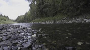 Close up of the cold and fresh river with stony bottom on green forest background. Stock footage. Clear river, summer forest stream flowing fast. photo