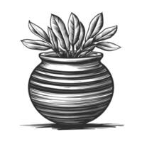 A black and white drawing of a pot with plants vector