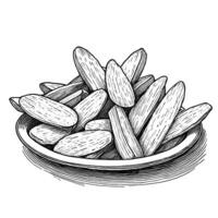 Hand drawn sketch of almonds in a bowl vector