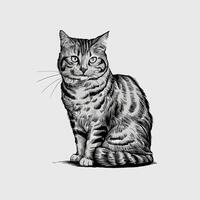 A black and white drawing of a cat sitting vector