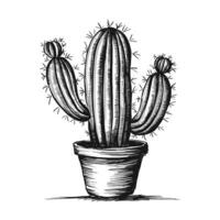 A drawing of a cactus in a pot vector