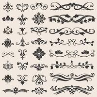 Set of vintage decorative elements, calligraphic design elements, decorative elements, floral design elements, vector