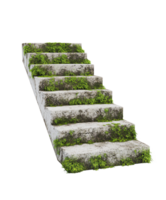 A set of stairs with moss growing on them png