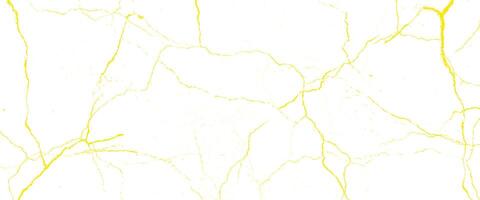 Texture gold dry crack background pattern vector