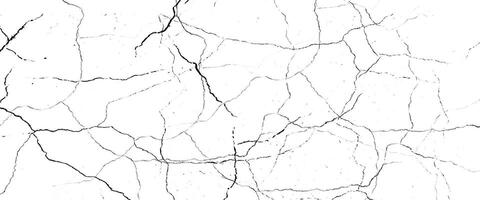 Texture soil dry crack background pattern vector