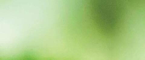 Green gradient background, grainy texture effect, place for text vector