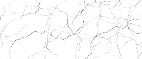 Texture soil dry crack background pattern vector