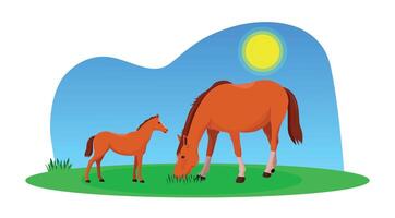 A horse with grass and a foal in a meadow or field. vector
