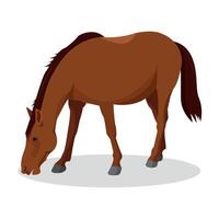 Horse icon on white background. Farm or zoo. vector
