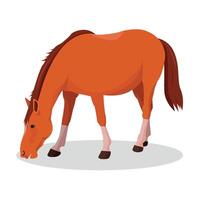 Horse icon. Animals and farm. vector