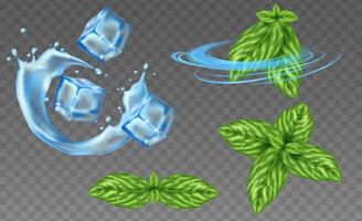 Fresh mint elements collection in realistic style vector