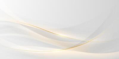 white abstract background with luxury golden lines illustration vector