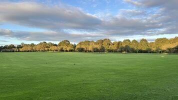 Serene Green Field Under Partly Cloudy Sky photo