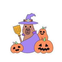 Funny animal capybara in witch costume and broom with halloween scary pumpkin lanterns. Clipart for October holiday. Design element. vector