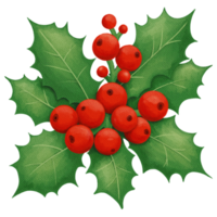 Retro Christmas Holly with Red Berries and Green Leaves png