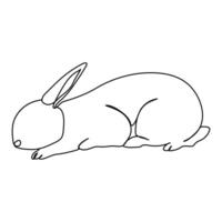 Whispering Lines The Charm of Rabbit Sketches vector