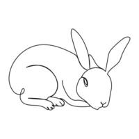 Rabbit line art icon vector