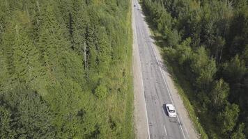 Aerial view of forest plain and car which are riding on highway. Clip. Top view of car riding on forest road photo