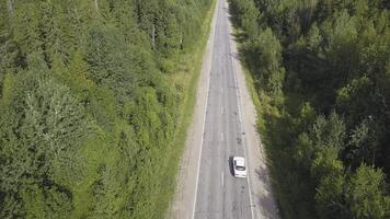 Aerial view of forest plain and car which are riding on highway. Clip. Top view of car riding on forest road photo