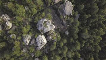Standing stones and beautiful view in forest, top view. Clip. Rock among tall pine trees against the backdrop of view of a densely overgrown spruce forest photo