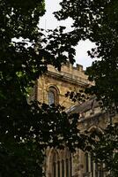 Historic Building Framed by Green Leaves in Ripon, UK photo