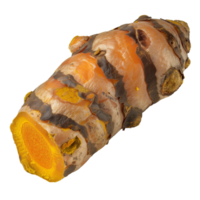 Turmeric root isolated on transparent background. png