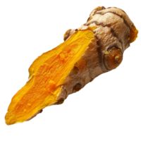 Fresh turmeric root isolated on transparent background png