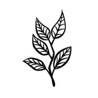 An illustration of a leafy branch with four stylized leaves vector