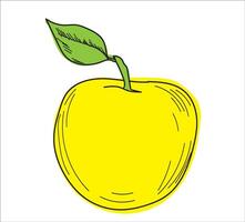apple illustration. Hand drawn tropical fruit illustration vector
