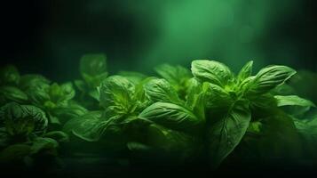 Green mint leaves pattern layout design. Ecology natural creative concept. Neural network photo