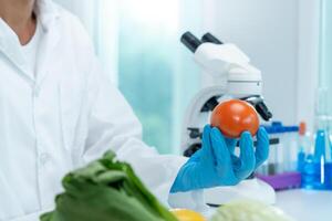 Scientist check chemical food residues in laboratory. Control experts inspect quality of fruits, vegetables. lab, hazards, ROHs, find prohibited substances, contaminate, Microscope, Microbiologist photo