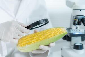 Scientist check chemical food residues in laboratory. Control experts inspect the concentration of chemical residues. hazards, ROHs standard, find prohibited substances, contaminate, Microbiologist photo