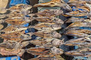Dried fish displayed in an open-air market, highlighting traditional preservation and local commerce during midday in a coastal region photo