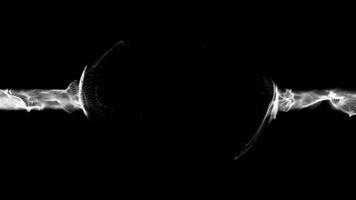 Abstract Black and White Waveform Animation video