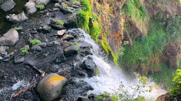 Haut vue de une cascade écoulement plus de rochers et verdure. une scénique de haut en bas vue de une cascade comme il les flux plus de rochers, entouré par luxuriant vert végétation et mousse. video