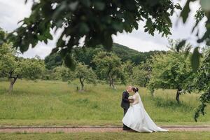 A bride and groom are walking down a path in a field. The bride is wearing a white dress and the groom is wearing a suit. They are holding hands and seem to be enjoying each other's company photo