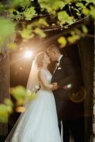 A bride and groom are kissing in front of a tree photo