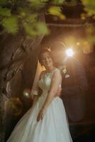 A bride and groom are hugging in front of a tree photo