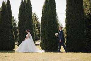A bride and groom are walking through a field of trees photo
