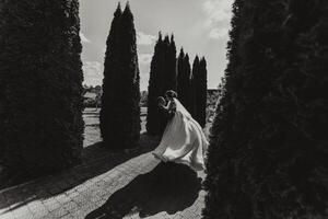 A bride and groom are standing in front of a row of trees photo