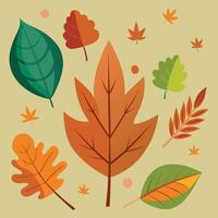 Nature's Canvas A Whimsical Array of Colorful Leaves vector
