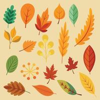 Autumn's Palette A Collection of Colorful Leaves vector