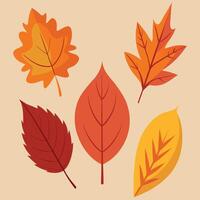 Harvest Hues A Vibrant Array of Autumn Leaves vector