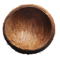 Fresh coconut with natural fibers on display, showcasing its unique texture and shape png