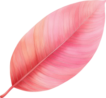 Pink Leaf Illustration Botanical Art Nature Design Element png