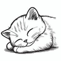 Tranquil Line Art of a Sleeping Kitten vector