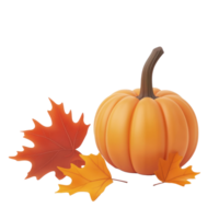 pumpkin and maple leaves on a transparent background png