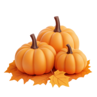 three pumpkins on a leaf on a white background png